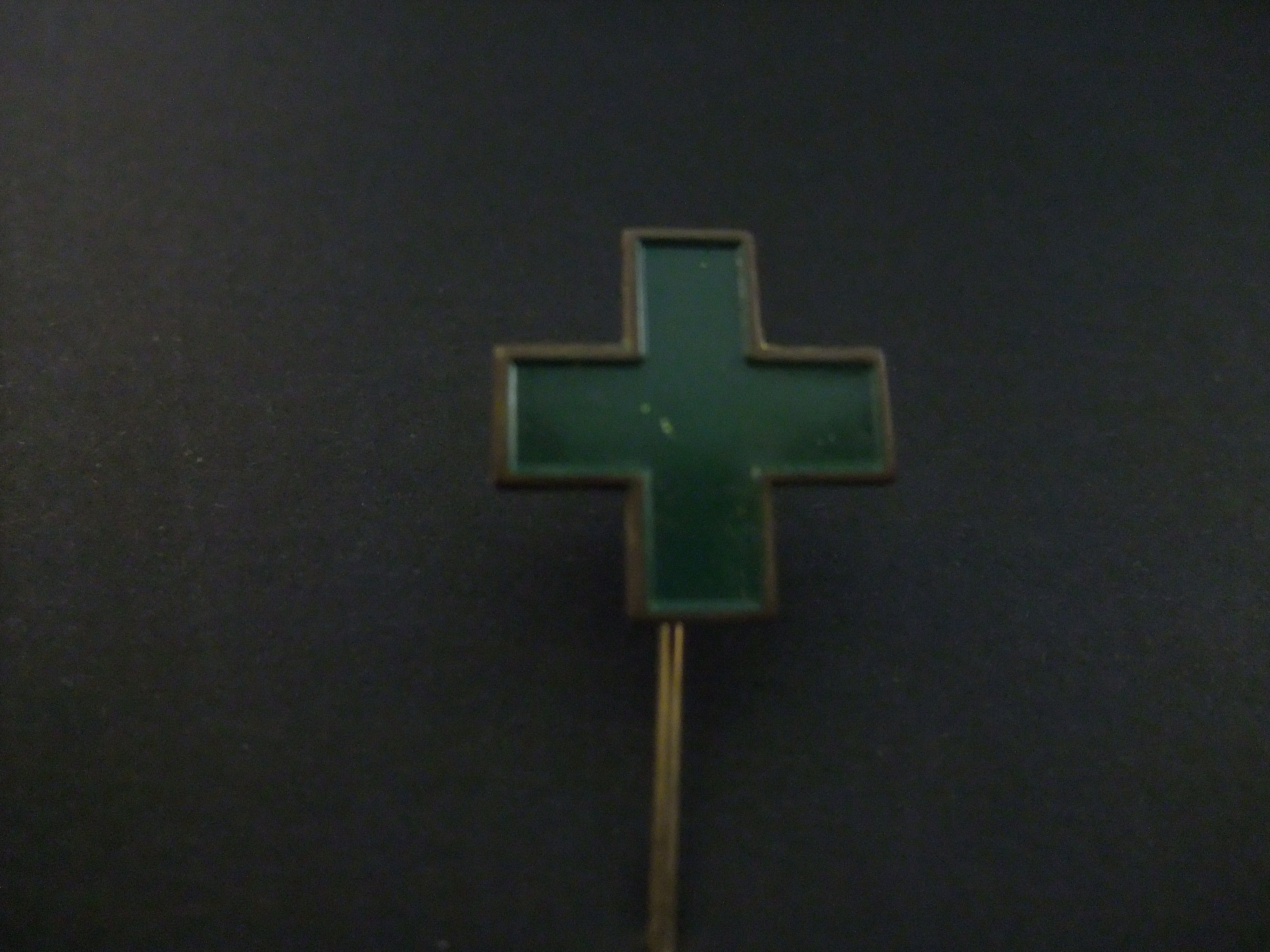 Groene Kruis (  landelijke vereniging voor wijkverpleging en thuiszorg kruiswerk)